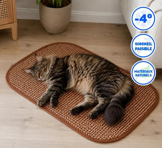 Sval – Le Tapis de Fraîcheur naturel essentiel - L'Atelier AnimalL'atelier Animal